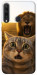 Чехол Shocked cat and lion для Huawei Y6p