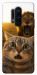 Чохол Shocked cat and lion для OnePlus 8 Pro