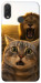 Чехол Shocked cat and lion для Huawei Nova 3i