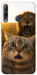 Чехол Shocked cat and lion для Huawei P40 Lite E