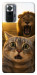 Чехол Shocked cat and lion для Xiaomi Redmi Note 10 Pro