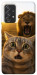 Чохол Shocked cat and lion для Galaxy A72 5G