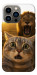 Чехол Shocked cat and lion для iPhone 13 Pro
