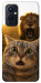 Чехол Shocked cat and lion для OnePlus 9