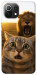 Чехол Shocked cat and lion для Xiaomi Mi 11 Lite