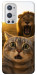 Чохол Shocked cat and lion для Oneplus 9 pro