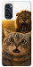 Чехол Shocked cat and lion для Oppo Reno 4 Pro 5G
