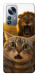 Чехол Shocked cat and lion для Xiaomi 12