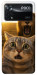 Чехол Shocked cat and lion для Xiaomi Poco X4 Pro
