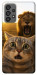 Чехол Shocked cat and lion для Galaxy A73 5G