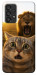 Чехол Shocked cat and lion для Galaxy A33 5G