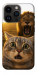Чехол Shocked cat and lion для iPhone 14 Pro