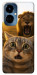 Чехол Shocked cat and lion для TECNO Camon 19 Pro (CI8n)