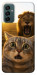 Чехол Shocked cat and lion для Galaxy M23 5G