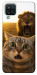 Чехол Shocked cat and lion для Galaxy M12
