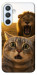 Чехол Shocked cat and lion для Galaxy A54 5G