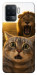Чехол Shocked cat and lion для Oppo Reno 5 Lite