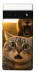 Чехол Shocked cat and lion для Google Pixel 6 Pro