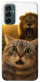 Чохол Shocked cat and lion для Galaxy M14 5G