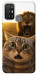 Чехол Shocked cat and lion для ZTE Blade A52