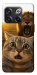Чохол Shocked cat and lion для OnePlus 10T