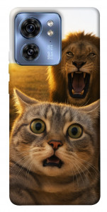 Чохол Shocked cat and lion для Motorola Edge 40