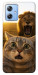 Чехол Shocked cat and lion для Motorola Moto G84