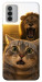 Чохол Shocked cat and lion для Nokia G42