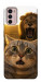 Чохол Shocked cat and lion для Motorola Moto G42