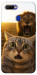 Чехол Shocked cat and lion для Oppo A7