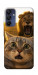 Чехол Shocked cat and lion для Galaxy A16 5G