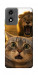 Чехол Shocked cat and lion для Motorola Moto E14