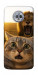 Чехол Shocked cat and lion для Motorola Moto G6 Plus