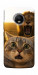 Чохол Shocked cat and lion для Motorola Moto G5S