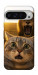 Чехол Shocked cat and lion для Google Pixel 9 Pro XL