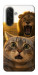 Чехол Shocked cat and lion для Galaxy A26 5G
