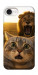 Чехол Shocked cat and lion для iPhone 16e