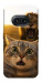 Чохол Shocked cat and lion для Nothing Phone (2a)