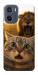Чохол Shocked cat and lion для Motorola Moto G05