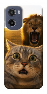 Чохол Shocked cat and lion для Motorola Moto E15