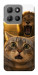 Чехол Shocked cat and lion для Motorola Moto G15 4G