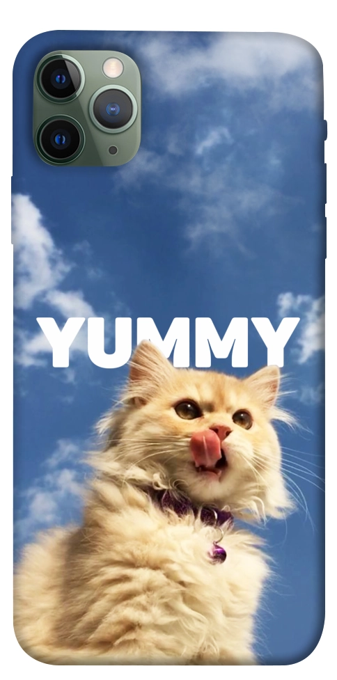 Чехол Sky kitty для iPhone 11 Pro Max
