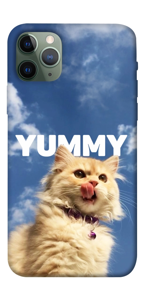 Чехол Sky kitty для iPhone 11 Pro