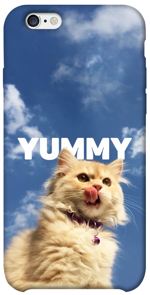 Чехол Sky kitty для iPhone 6