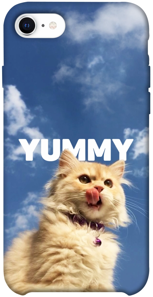 Чехол Sky kitty для iPhone SE (2020)