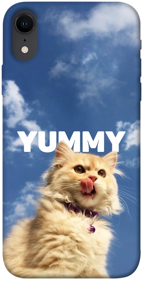 Чехол Sky kitty для iPhone XR