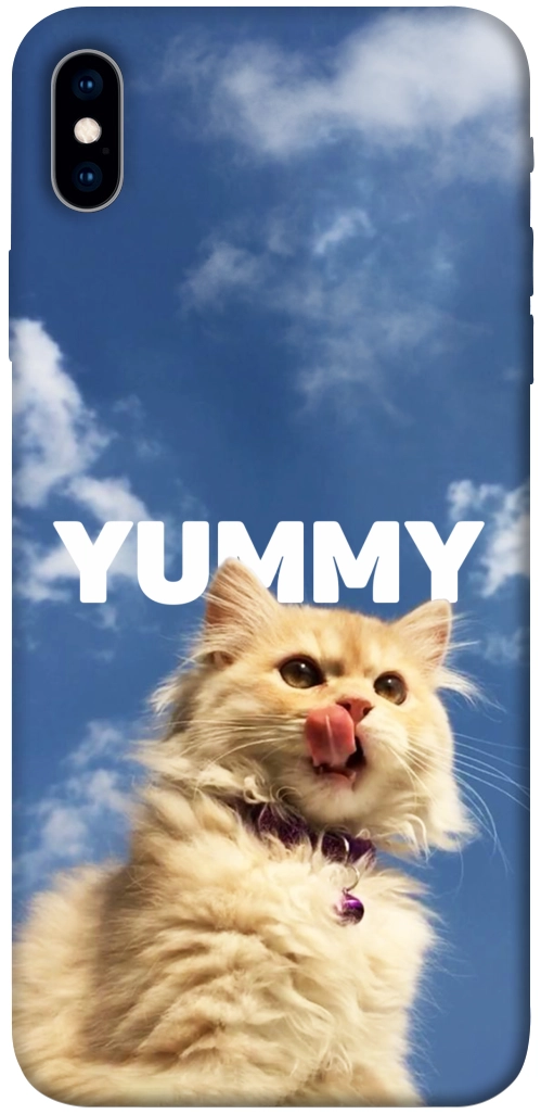 Чехол Sky kitty для iPhone XS Max