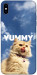 Чехол Sky kitty для iPhone XS Max