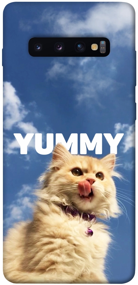 Чехол Sky kitty для Galaxy S10 Plus (2019)