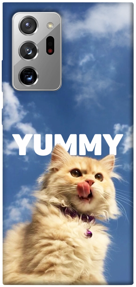 Чехол Sky kitty для Galaxy Note 20 Ultra